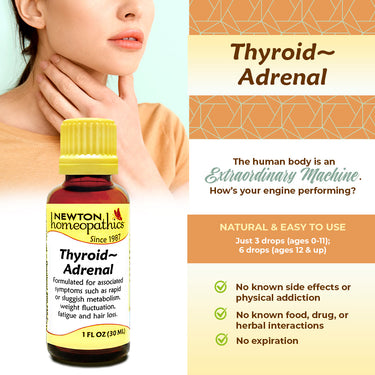 Thyroid - Adrenal